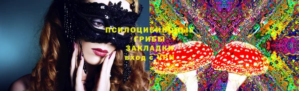гидра Саяногорск