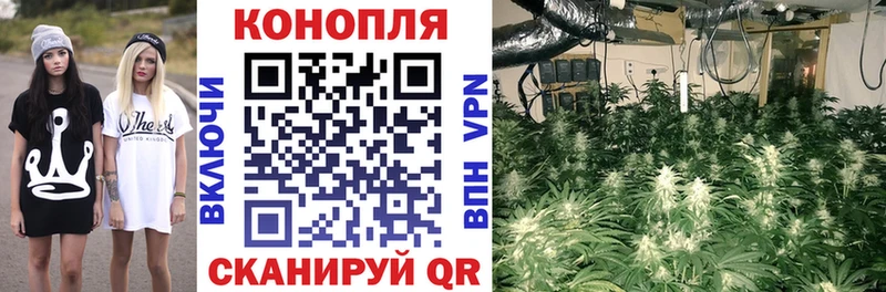 Конопля White Widow  ссылка на мегу зеркало  Саянск 